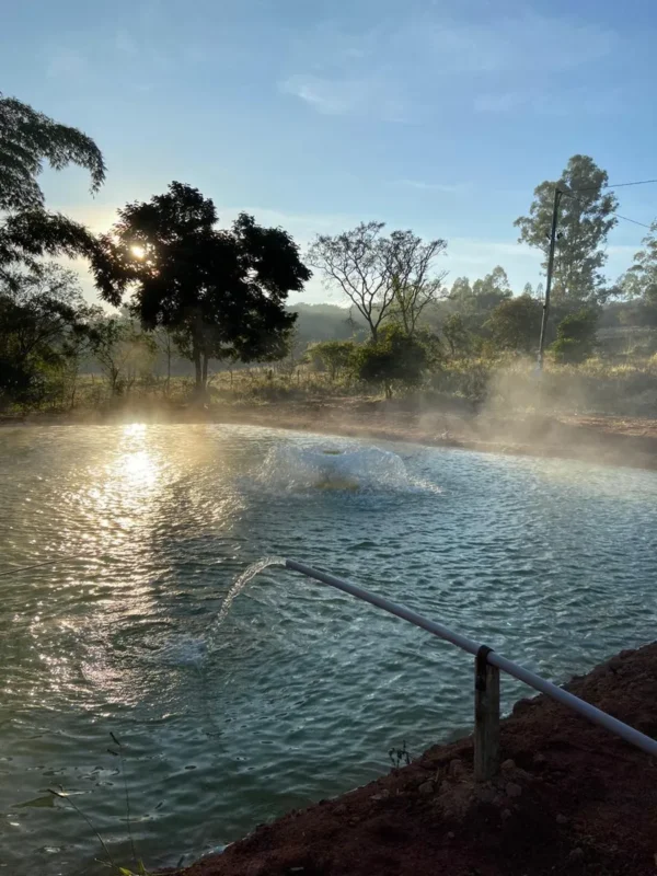 D_NQ_NP_2X_631410-MLB73414336627_122023-F Aerador Chafariz Weemac 2 CV – Piscicultura