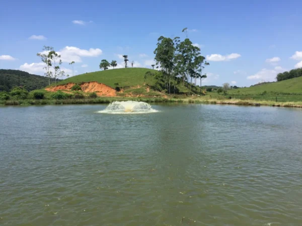 D_NQ_NP_2X_721205-MLB73414476157_122023-F Aerador Chafariz Weemac 2 CV – Piscicultura