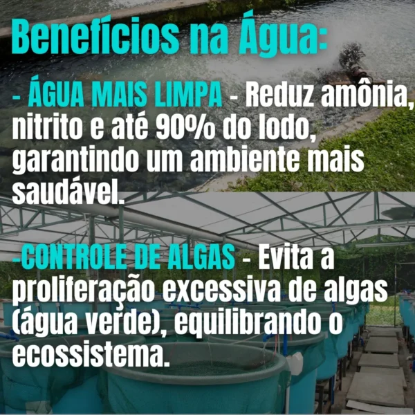D_NQ_NP_2X_731569-MLB83362258803_032025-F-aqualimp-aquacultura-comida-de-peixe-probiotico-em-po-tanque Aqualimp Aquacultura – Comida de Peixe Probiótico em Pó