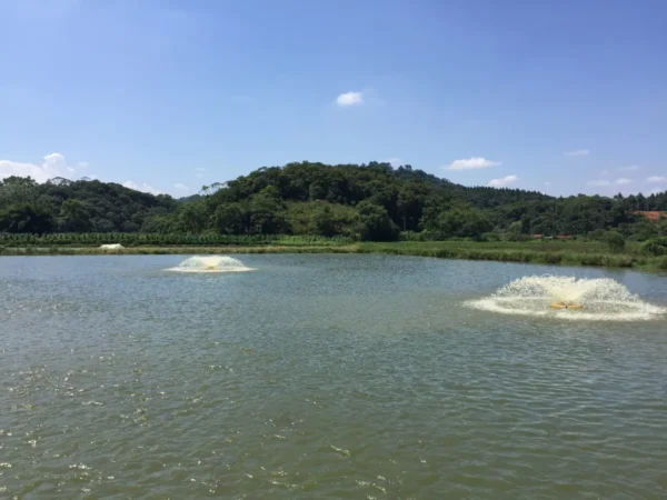 D_NQ_NP_2X_755581-MLB73414316859_122023-F Aerador Chafariz Weemac 2 CV – Piscicultura