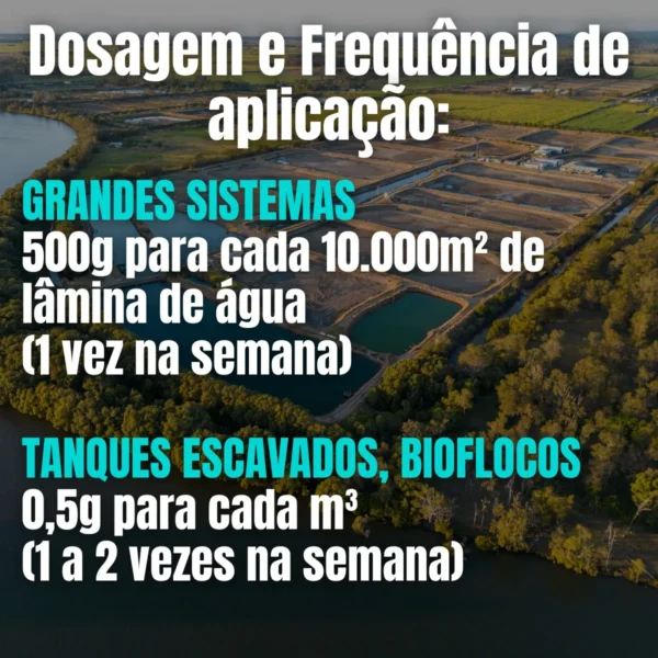 D_NQ_NP_2X_765722-MLB83362258829_032025-F-aqualimp-aquacultura-comida-de-peixe-probiotico-em-po-tanque Aqualimp Aquacultura – Comida de Peixe Probiótico em Pó