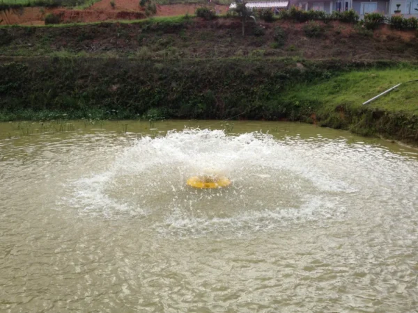 D_NQ_NP_2X_844506-MLB73414376455_122023-F Aerador Chafariz Weemac 2 CV – Piscicultura