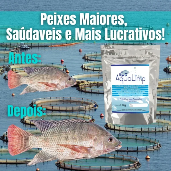 D_NQ_NP_2X_848893-MLB83071842640_032025-F-aqualimp-aquacultura-comida-de-peixe-probiotico-em-po-tanque Aqualimp Aquacultura – Comida de Peixe Probiótico em Pó