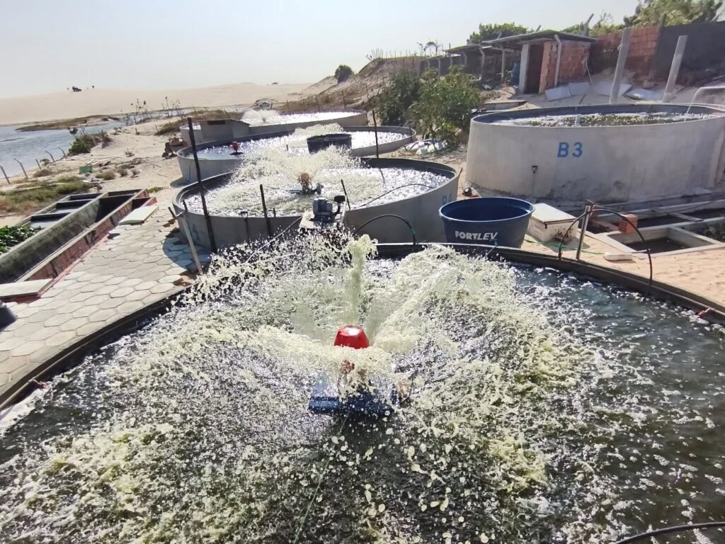 542012446_18091726813682461_2210954412948905380_n