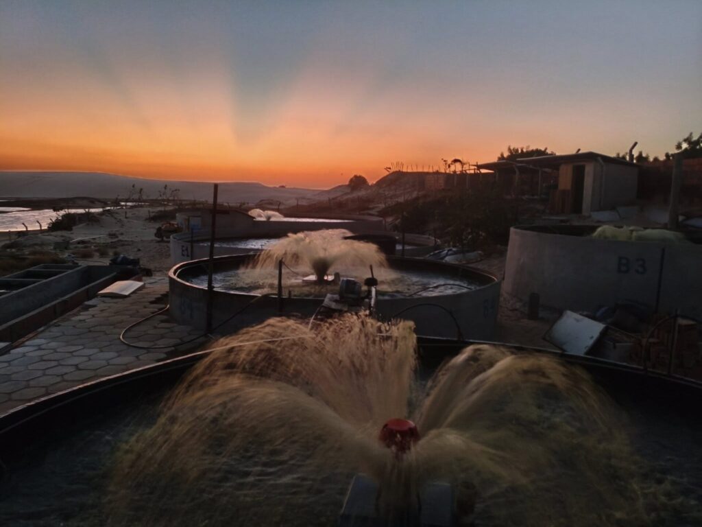 556783638_24417314581286893_8389851755611101807_n