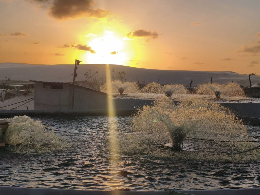 581755605_24846019955083018_3308942476386154245_n