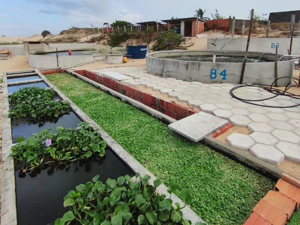 Imagem do WhatsApp de 2025-11-18 à(s) 09.09.10_62aff1ff